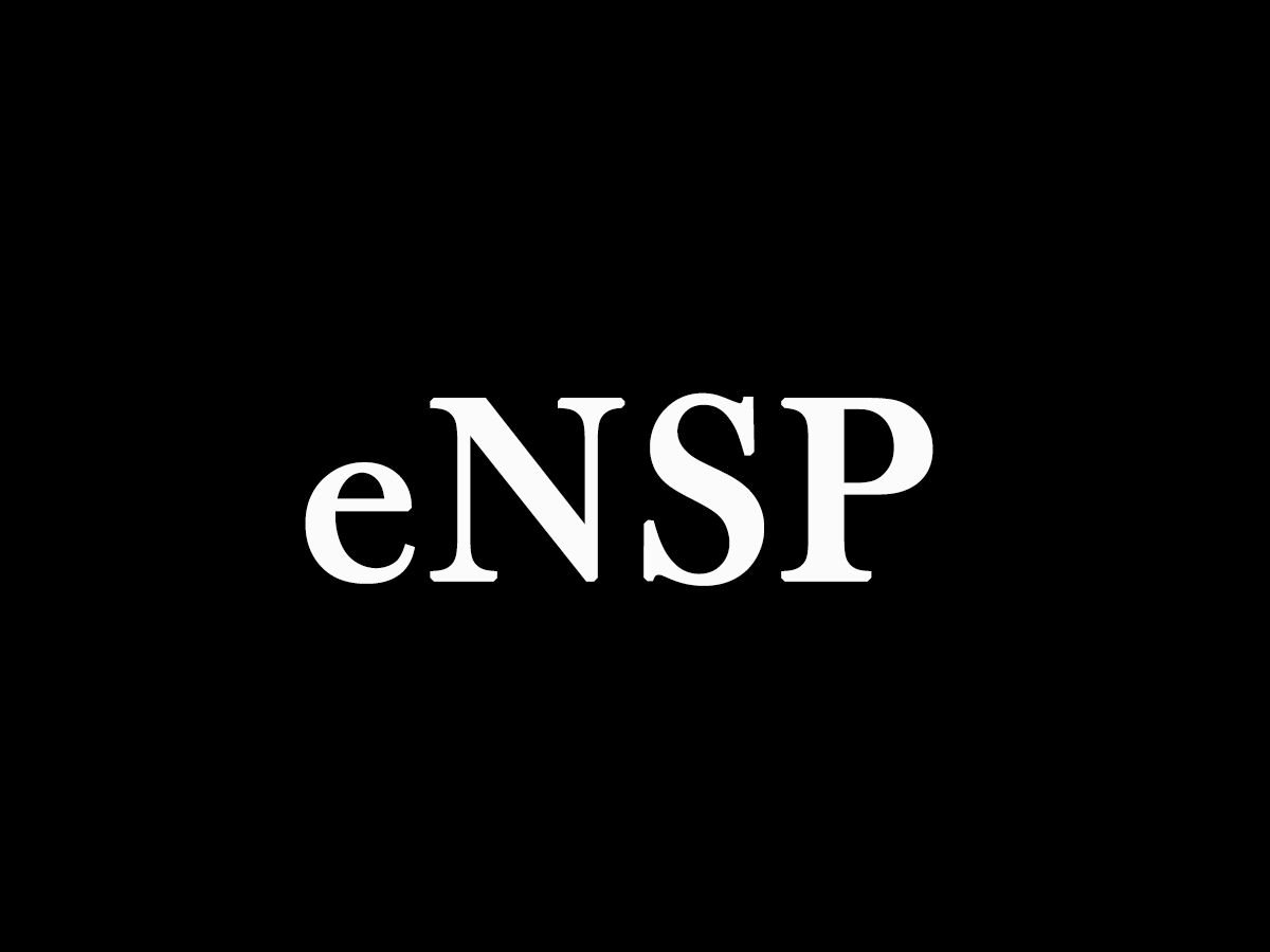 eNSP启动路由器卡死问题的解决办法-资源刺客